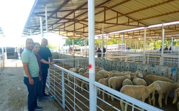 Hayvan Pazarında Sağlık ve Menşei Kontrolleri Yapıldı