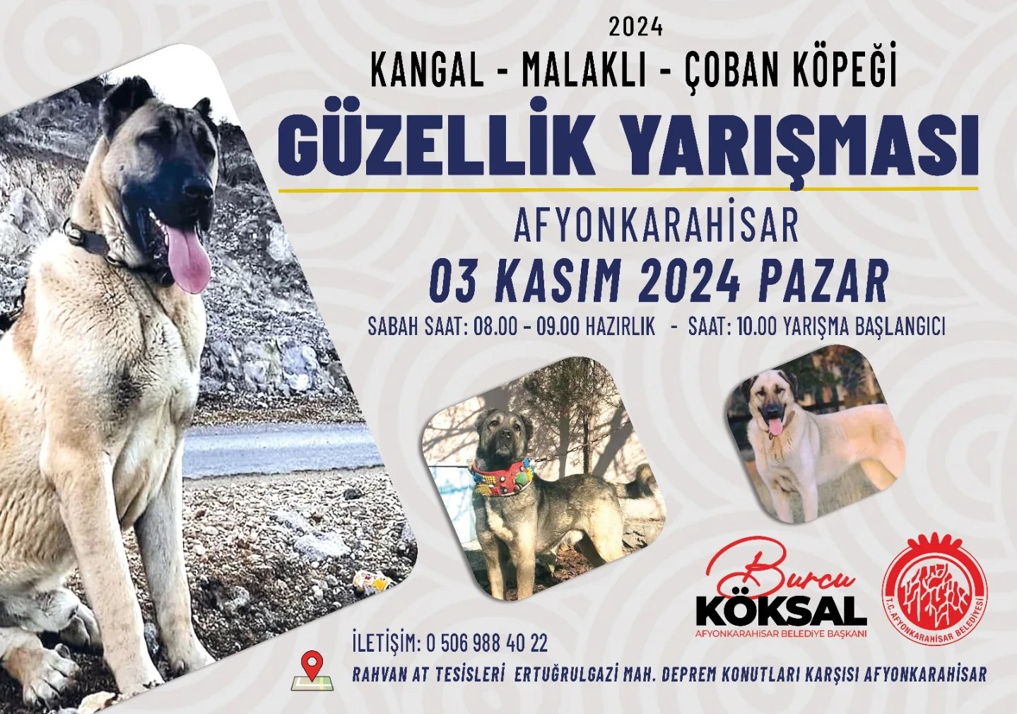 Kangal ve Malaklı Güzellik Yarışması Başlıyor