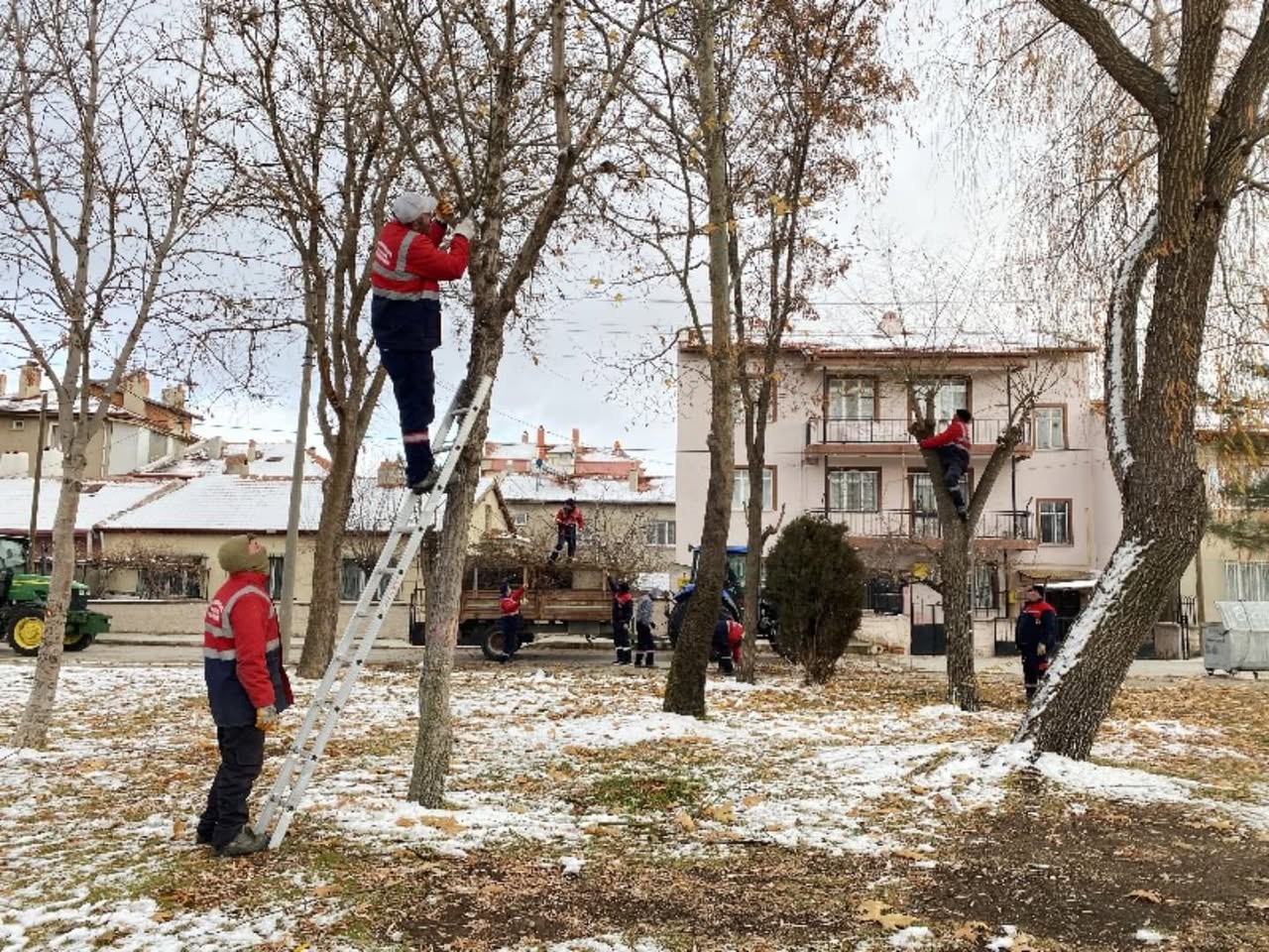 Afyonkarahisar'da Yeşil Alanlar İçin Budama Seferberliği