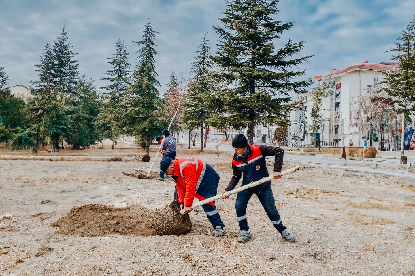 Afyonkarahisar'da Yeşil Dokunuş: Peyzaj ve Ağaçlandırma Çalışmaları Sürüyor