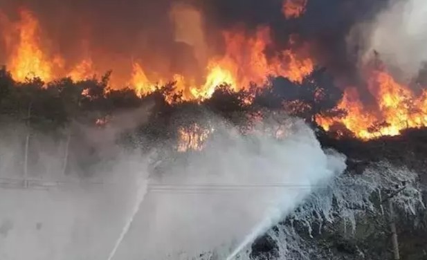 Orman yangınları konusunda uzmanından öneri.