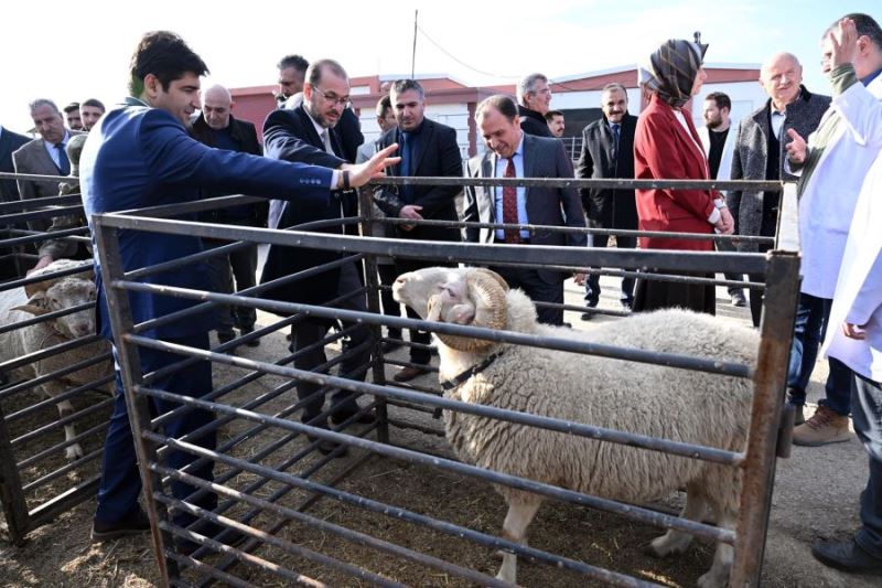 Küçükbaş Araştırma ve Uygulama tesisleri açıldı