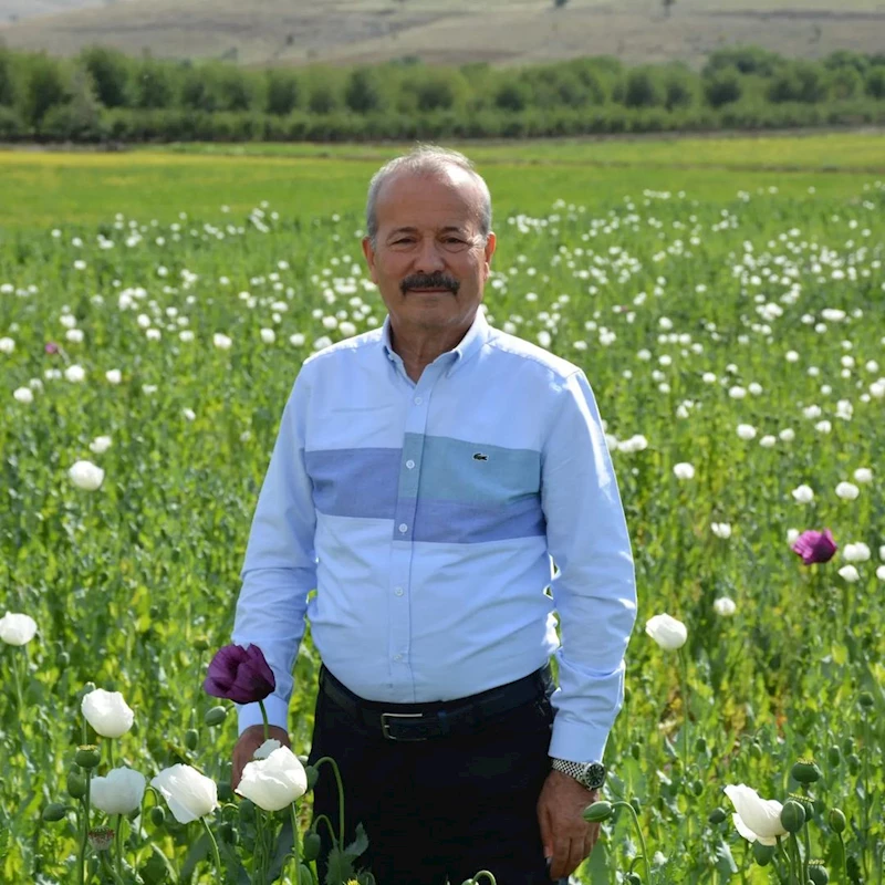Milletvekili Mehmet Taytak, Afyonkarahisar'ın Beyaz Gelini