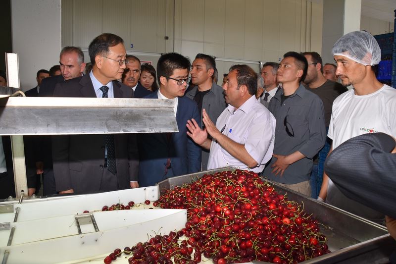 Afyonkarahisarda Çine Yapilacak Ihracatin Starti Çay Ilçesinde Verildi.