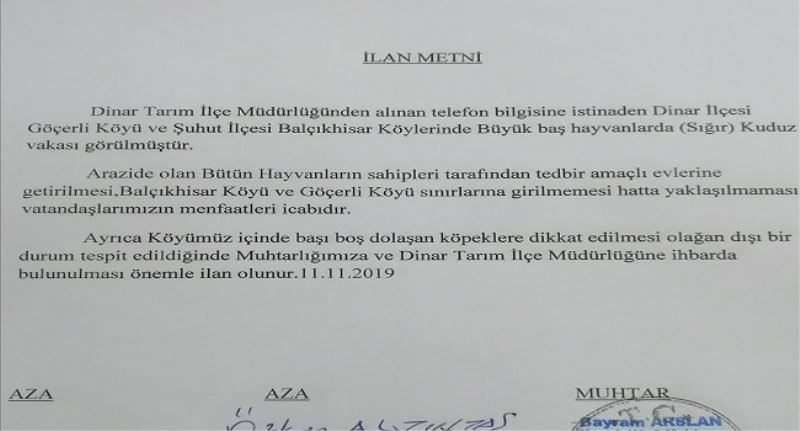 Afyonkarahisarda Kuduz Karantinasi