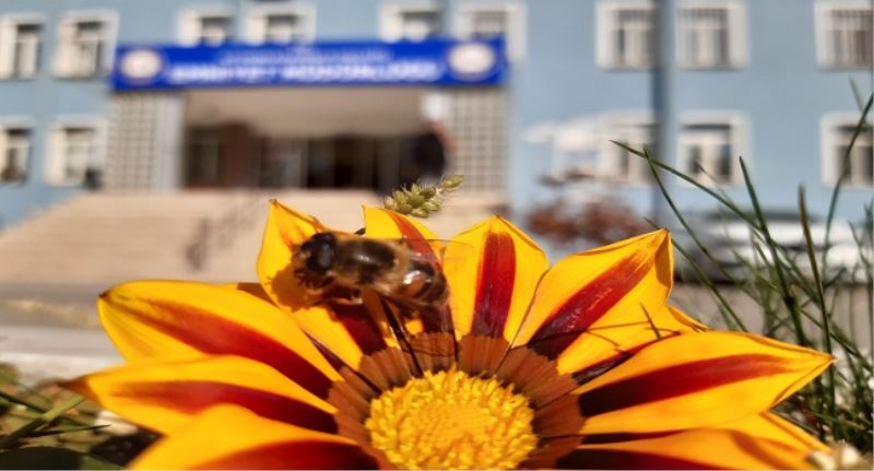 Afyonkarahisarda Sonbahar Ve Yaz Görüntüleri Bir Arada