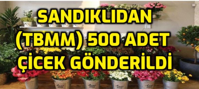 Çölden Türkiye Büyük Millet Meclisi'ne  500 adet Çiçek gönderildi.