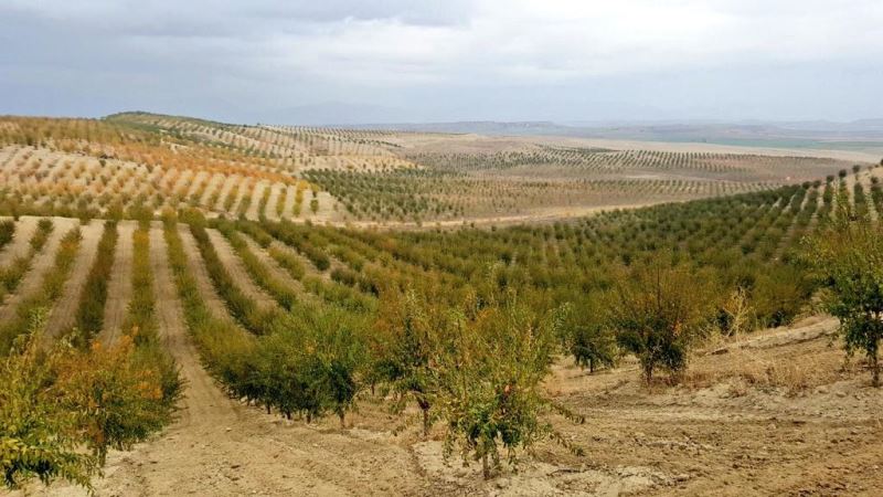 Güneydogu Anadolu Projesi (Gap), Türkiyenin En Büyük Kalkinma Projesidir