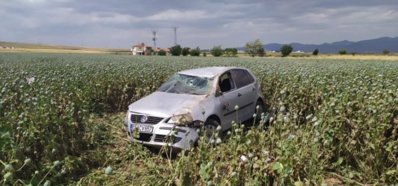 Köpege Çarpmayim derken Hashas Tarlasina Daldi.